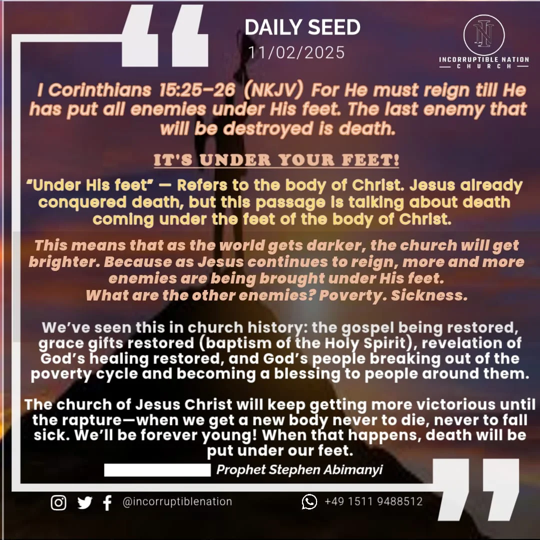 Daily Seed devotional